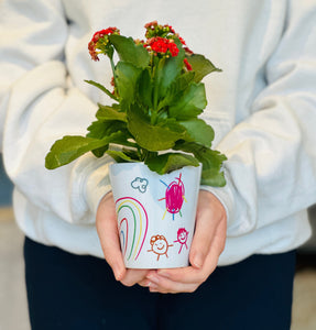 Teacher Flower Pot