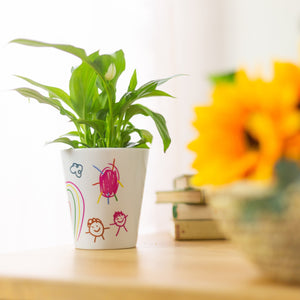 Teacher Flower Pot