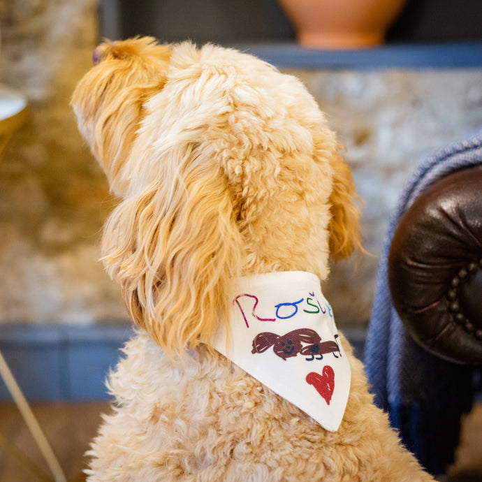 Dog Bandana