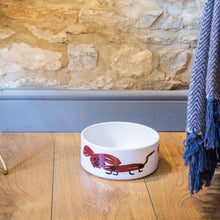 Dog Bowl
