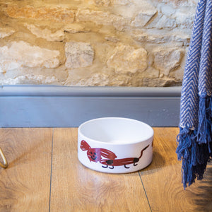 Dog Bowl