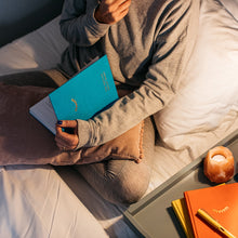 The Positive Bullet Diary
