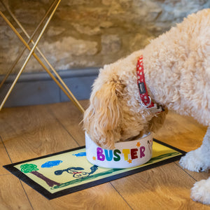 Dog Bowl