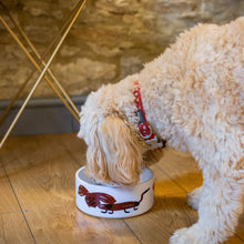 Dog Bowl