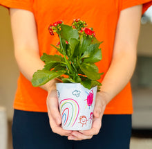 Flower Pot