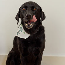 Dog Bandana